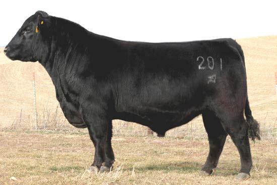 The sire G A R calehouse of this set of embryos is reaching standards of growth and carcass merit found both in the Method and EP systems. G A R 5050 NEW EIGN 1039 PATERNAL GRANAM OF LOT 10.