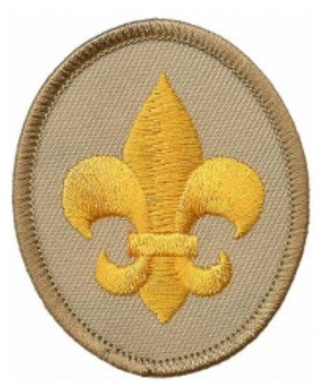 Rank and Requirements Eagle Scout rank Requirements are not changing Anything completed prior to girls joining Scouts BSA on February 1, 2019 will not be counted