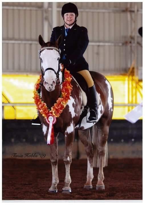 SUNDAY 24 TH - 8am SHARP START - RIDDEN PROGRAM (CLASSES 135 TO 142 CAN BE RIDDEN IN ENGLISH, WESTERN OR STOCKHORSE ATTIRE) 135. BEST PRESENTED PINTO UNDER SADDLE 136. STALLION UNDER SADDLE 137.