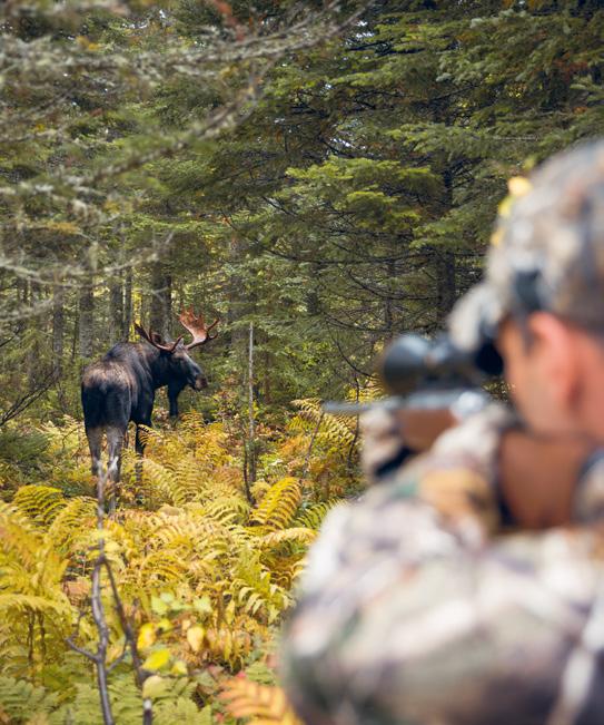 RANDOM DRAWS Reserved exclusively for Québec residents, random draws for moose and deer quota hunting at wildlife reserves and Sépaq Anticosti are aimed at ensuring equity of access to the best