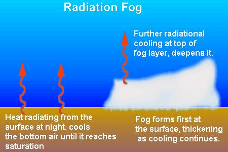 Advection fog: (transportation by horizontal movement), this type of fog is produced by winds carrying warm moist air over colder surface.
