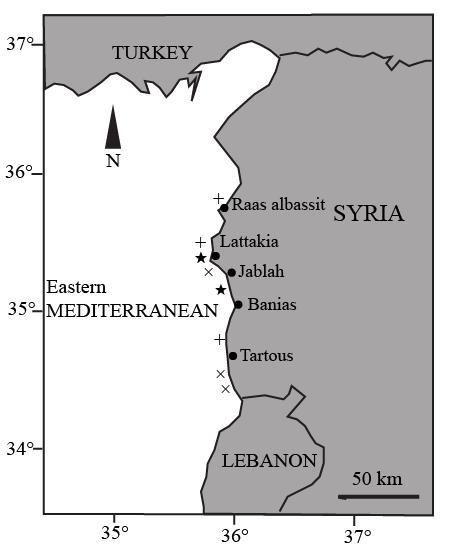 possible nursery areas for M. mustelus (against Lattakia and middle distance between Jablah and Banias) (Fig. 5). Figure 5. Geographic distribution of possible nursery areas for three species (H.
