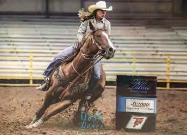 ROYAL SHAKE EM has produced over $7 million in money earners in racing, barrels, and roping including the 2015 PRCA dogging horse of the year owned by Ty Erickson.