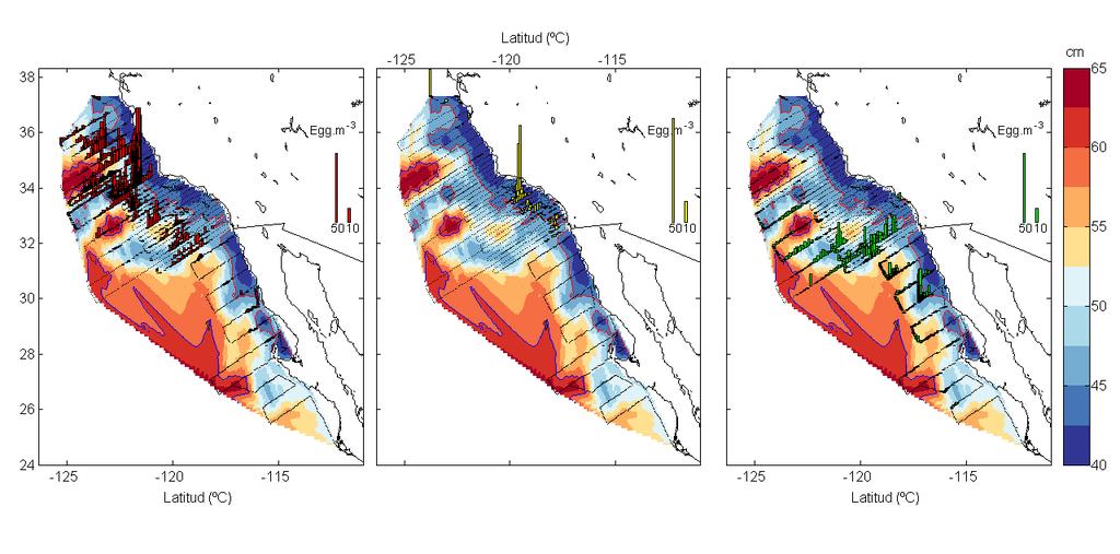 Dynamic topography as indicator of spawning habitat selec<on by species Pacific sardine Northern anchovy Jack mackerel 22 Sardine è greatest extension