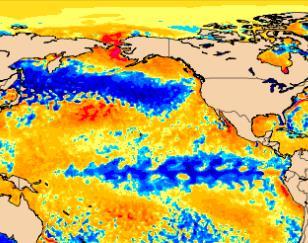 2013-2015 Warm Blob, 2015-2016 El Niño, 2017 La Niña?