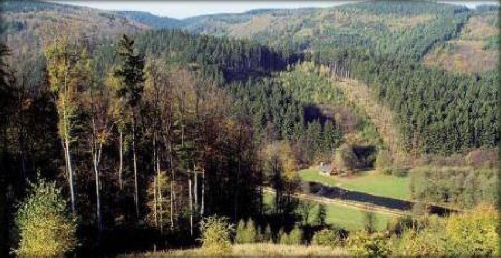 11 A view of the hunting area. OUR OFFER All the basic prices in this offer are defined mainly in CZK. Prices in EUR mentioned below in this offer are informative, using exchange rate 25,00 CZK/1 EUR.