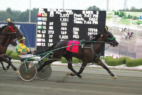 This group includes representation by Yankee Glide (3), Dragon Again (3), Mach Three (2), Jeremes Jet (2), Cantab Hall (2), Angus Hall (2), Classic Photo (2), SJs