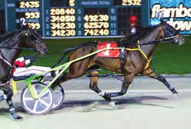 2 ($555,806). 279. ST LADS VIXEN br.f. Lis Mara Warrawee Cammy Camluck Half-sister to top 2010 OSS colt MACHAL JACKSON p,2q,1:59.3s ($47,020) OSS placed and timed in 1:52.3s. 15. ST LADS GENIE b.f. Jeremes Jet Tricky Fame Apaches Fame First crop of JEREMES JET and a half-sister to OSS placed ST LADS TRIXIE p,2,1:56.
