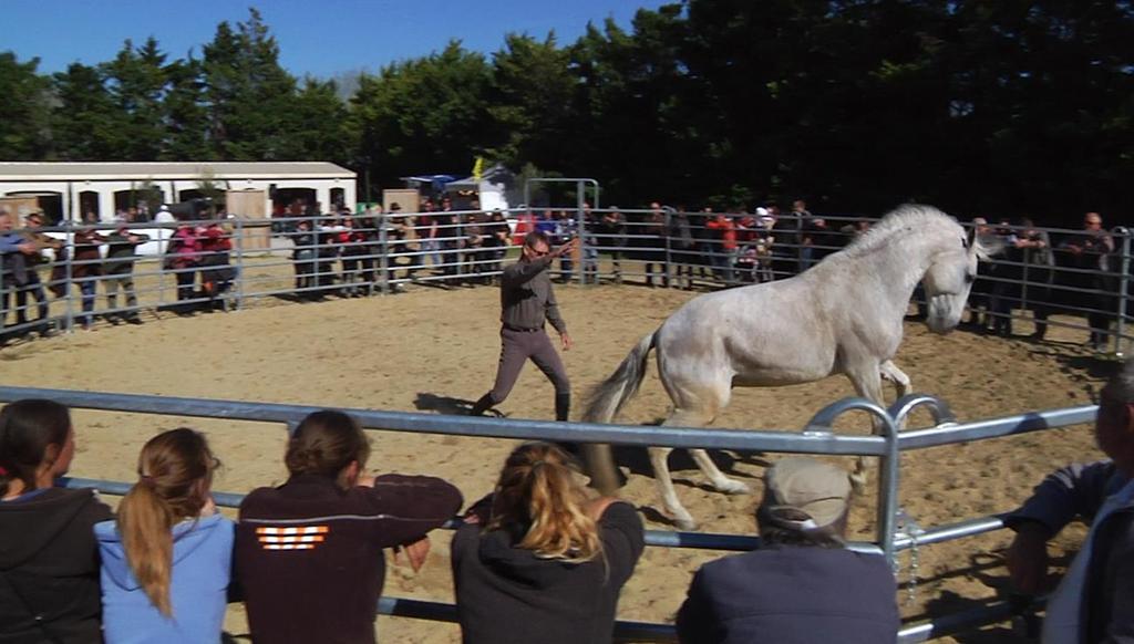 HORSE SENSE REDEFINED With Chris Irwin Friday - Monday 23-26Oct2015 Shangri-la Therapeutic Academy of Riding (STAR) Lenoir City, TN Chris Irwin returns to STAR, Lenoir City, TN, Friday 23Oct2015,