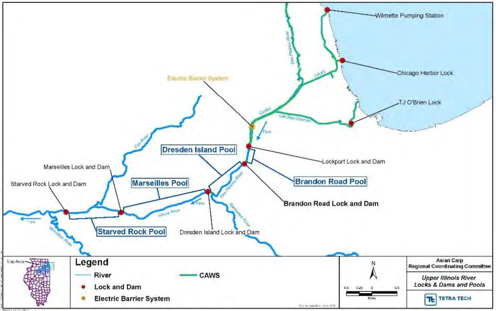 Chicago Area Waterways System (CAWS). Asian carp prevention and control efforts in this small area within the Mississippi River Basin are addressed in the ACRCC Asian Carp Action Plan. Figure 2.