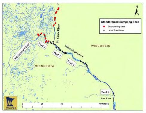 Sampling Sites: Minnesota - St. Croix and Upper Mississippi River Pools 2 through 8 Minnesota DNR s sampling design includes both fixed and targeted sites in Pools 2, 3, 4, and 8.