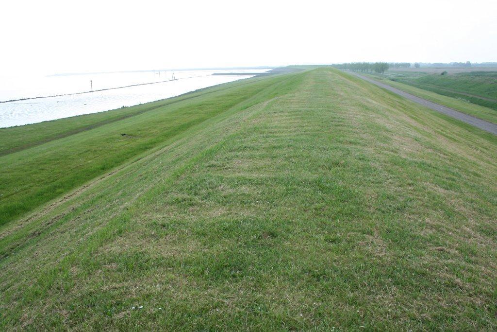 2 Actual situation in the Netherlands The idea is to test the grassed upper seaward slope of dikes with the Wave Run-up Simulator. But what are actual situations in the Netherlands?