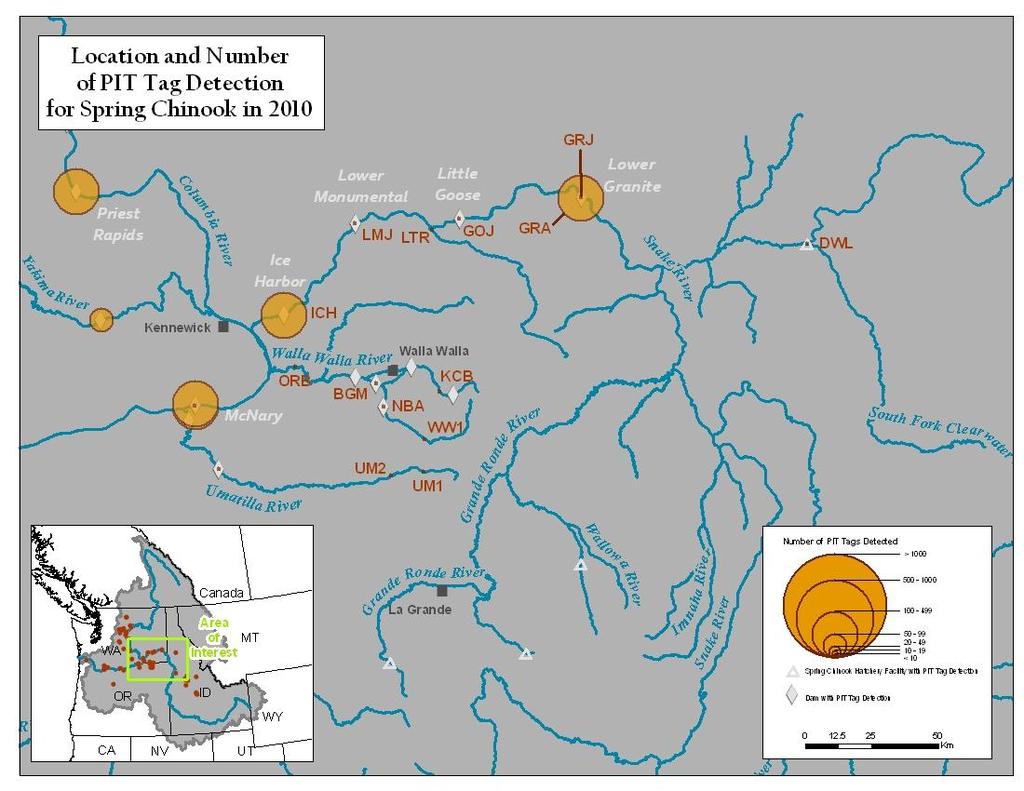 Figure A4. Map of Lower Snake River detections sites and number of spring Chinook detected.