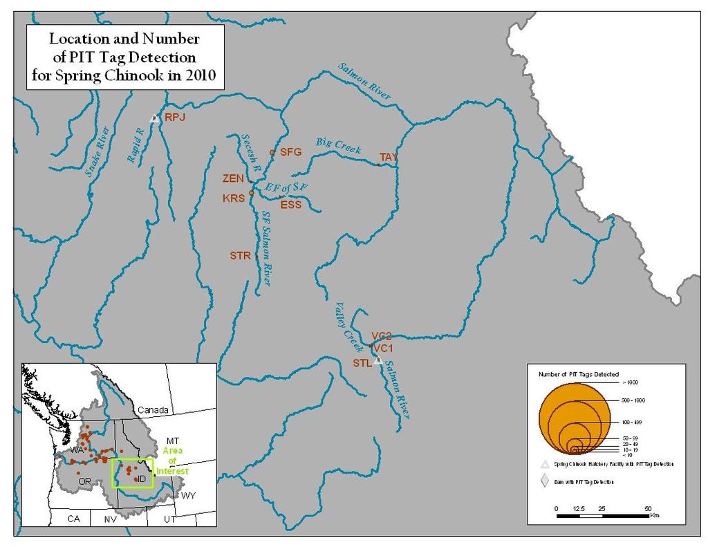 Figure A5. Map of Salmon River detections sites and number of spring Chinook detected.