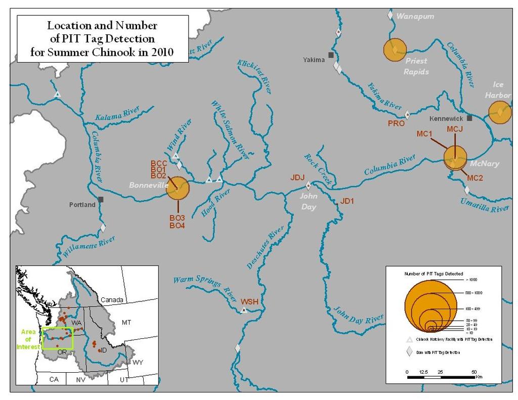 Figure A6. Map of Lower Columbia River detections sites and number of summer Chinook detected.