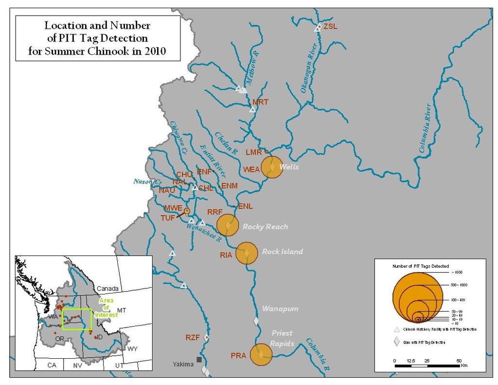 Figure A7. Map of Upper Columbia River detections sites and number of summer Chinook detected.