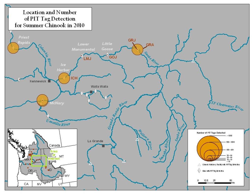 Figure A8. Map of Lower Snake River detections sites and number of summer Chinook detected.