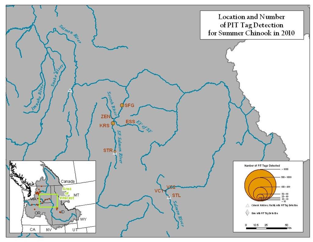 Figure A9. Map of Salmon River detections sites and number of summer Chinook detected.