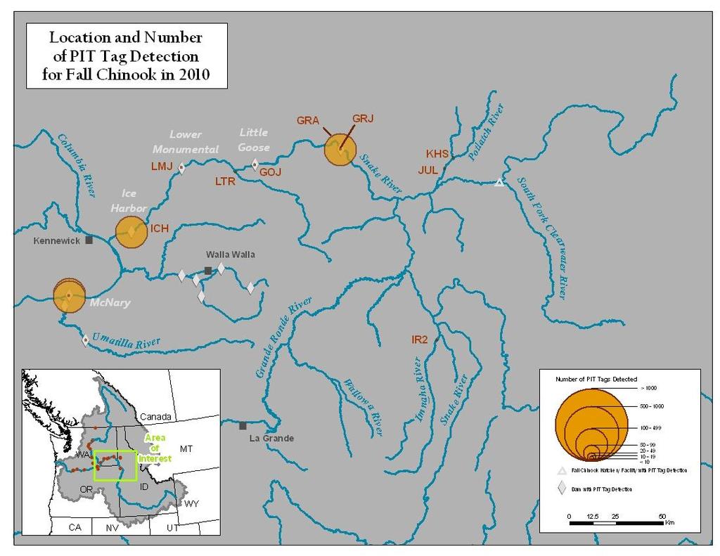 Figure A12. Map of Lower Snake River detections sites and number of fall Chinook detected.