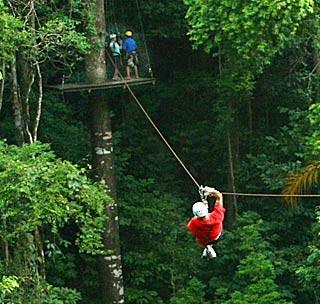 2.5) Jaco Canopy tour The Jaco Canopy tour is not for the timid. This intermediate to advanced Jaco zip lining tour is recommended for experienced thrill-seekers and daring first-timers.