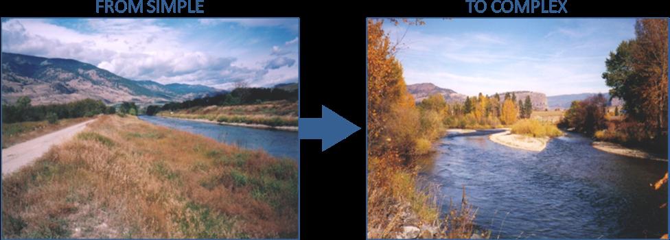 OKANAGAN RIVER RESTORATION INITIATIVE - FAQ Initiative background: The health of the q awsitk w (Okanagan River) has been severely impacted by the channelization works that occurred in the mid-1950 s.