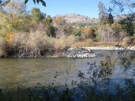 This site is located on the q awsitk w (Okanagan River) in Oliver and was specifically chosen based on channel gradient and connection to upstream productive habitats (natural river section).