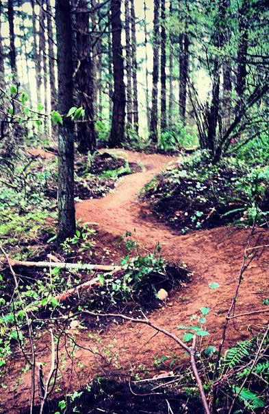 Quality destination riding opportunities, including a connected network of at least 30 miles of new trails within the Puget Sound region; b. Comprehensive trail networks in all chapter locations; c.