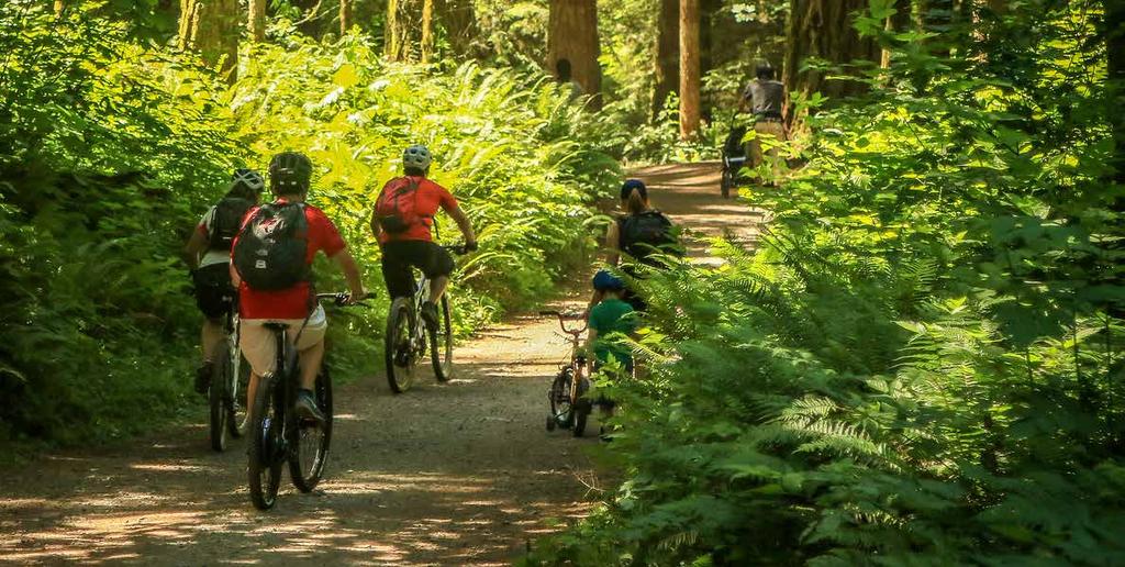 D. Advocate for Equitable Trail Access & Riding Opportunities Washington State D1.