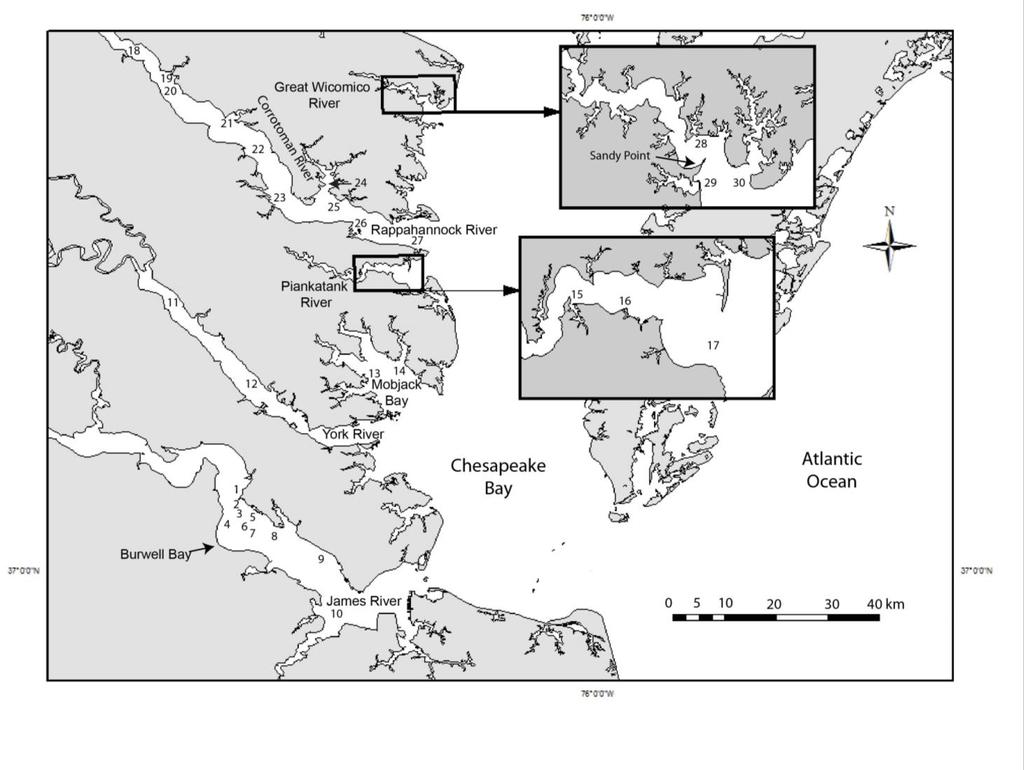 Figure D: Map showing the location of the oyster bars sampled during the 203 dredge survey.