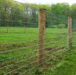 Plantation fence Hinge joint fencing Fixed knot field fence Square deal field fence
