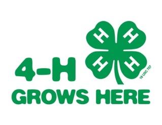 ONE DAY 4-H- SATURDAY OCT 8th One day 4-H is one day for all the 4-H members, parents, leaders, and volunteers to step out into their communities and county and say thank you by giving back for more