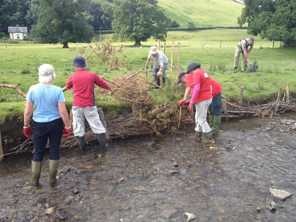 Case study 10: Soft revetment training with the Wild Trout Trust In the first year of the project, we ran soft revetment training with our partners the Wild Trout Trust.