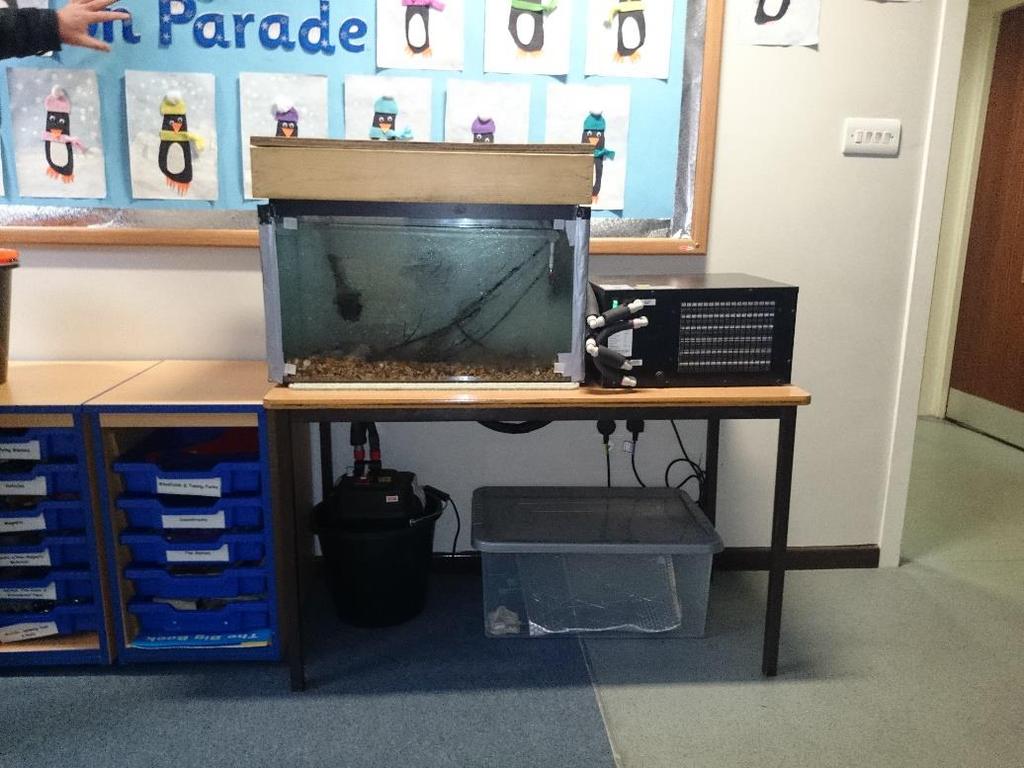 Case study 17: Trout in the classroom We ran a trout in the classroom project with two schools and the RSPB Lake Vyrnwy shop in January 2015.