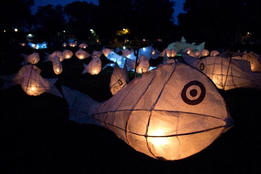 5.7 Hosting a river festival in 2015 and 2016 Case study 19 Leaping Lights Salmon Festival The Leaping Lights Salmon lantern festival was a great success.