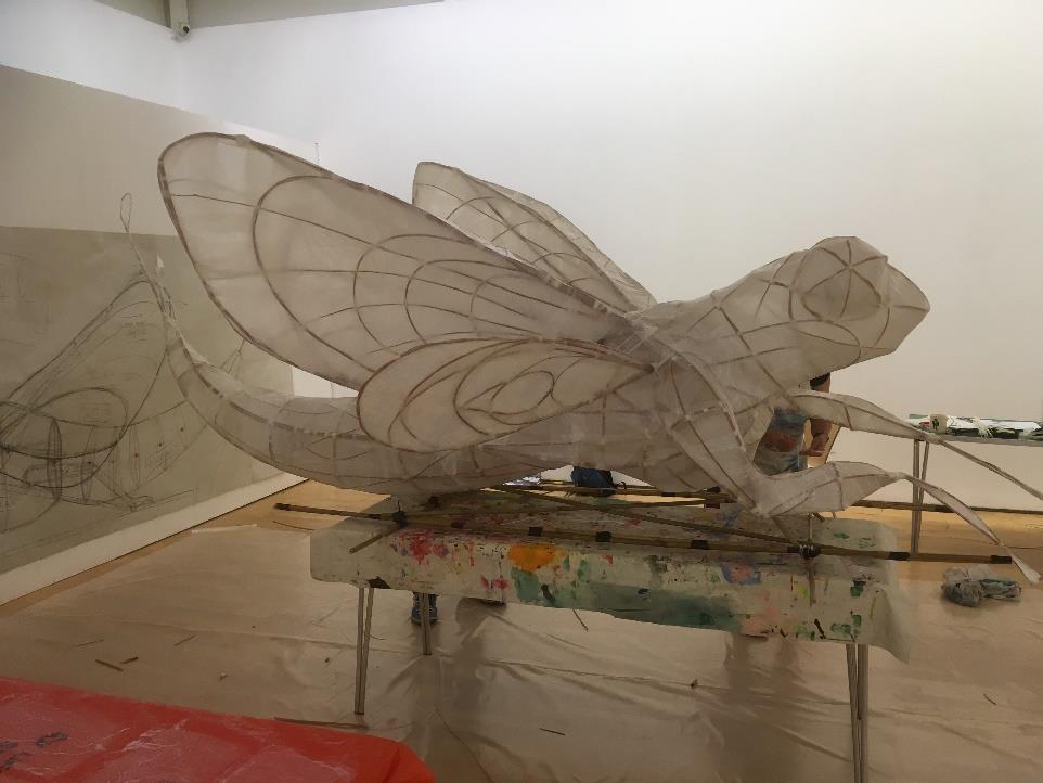 workshop The giant Mayfly