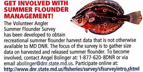 Figure 5. Scan of the Maryland Volunteer Angler Summer Flounder Survey business card, which were distributed at fishing shows, presentations, and Maryland Sport Fishing Tournament citation centers.
