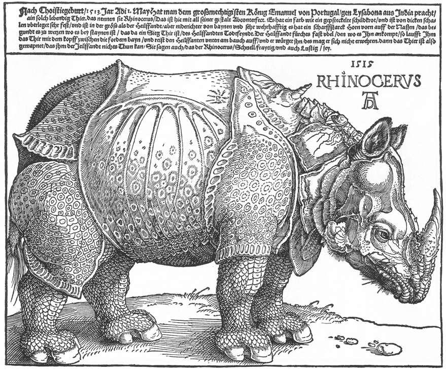 On 20 th May in the year 1515 an Indian Rhinoceros arrived in Lisbon, from India, the gift of the legendary Portuguese explorer Alfonso de Albuquerque to his King, Dom Manuel I of Portugal.