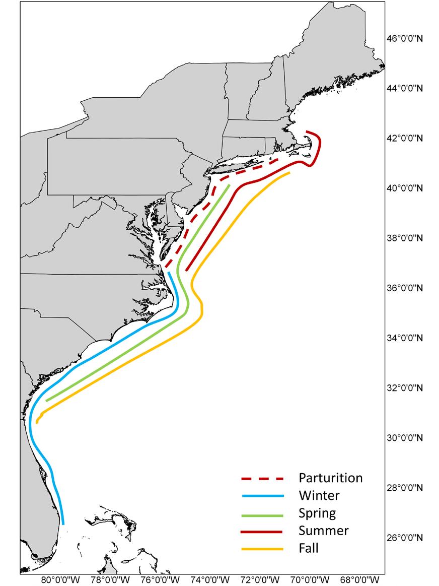 Figure 2: Seasonal distribution pattern of smooth dogfish along the East coast of the United States. Winter (Blue) is the distribution from December to February.