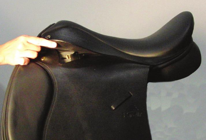 REACH UNDER your saddle and pad and make sure you can FEEL YOUR HORSE S 1 SHOULDER MOVING FREELY as he/she WALKS FORWARD. You ll need to walk backward, and feel all the way back to the stirrup bar.