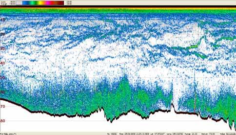 db Difference 38 khz Difference in volume backscatter in db between 2