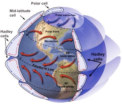 This is because of the Coriolis Effect, and occurs because the straight winds blow across a