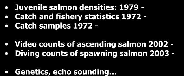 ascending salmon 2002 - Diving counts