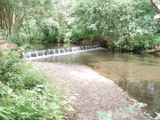 It was mentioned on the visit that BFF had plans for a fish pass at the cricket field weir.