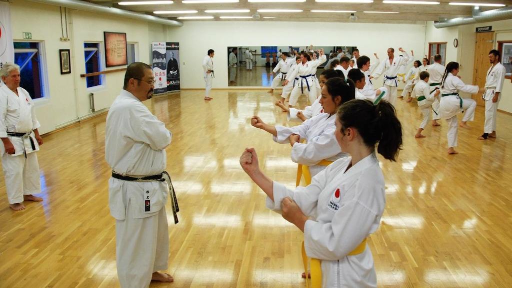 The Zendokai students traditionally familiarize with the instructors a few days ahead in the Zendokai Dojo.