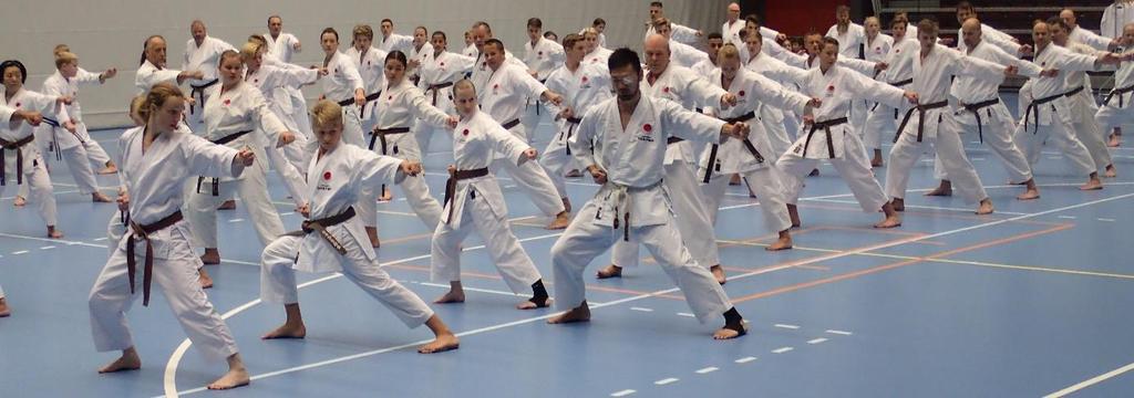 During Kata, Kumite and Kihon drills Shimizu sense required the students to deliver all techniques with maximum speed and proper drivetrain while keeping full Zanshin.