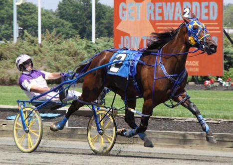 The award for New Jersey Sire Stakes Green Acres Division Horse of the Year went to the three-year-old trotting filly Aunt Mel, winner of five New Jersey-sired races at Freehold Raceway in 2012.