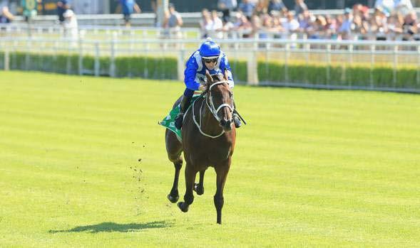 Winx draws perfectly in five to face off against 10 rivals in her race Winx s apparent invincibility prompted one fearless punter to place the biggest bet TAB Fixed Odds has ever taken on the
