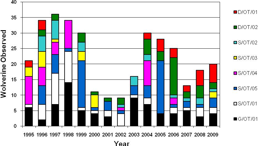 43 mostly of solitary animals with few family groups being observed. The number of animals observed this year is similar to the 20-35 observed during 1995-1999 and 2004-2006 (Table 20; Fig. 7).