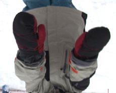 wet conditions. Gloves or Mittens Gloves or mittens that are specifically designed for Alpine skiing are essential.