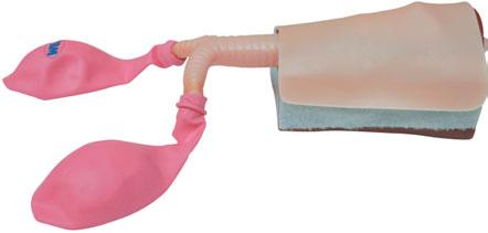 Mask Ventilation and the use of Laryngeal Tube, Combitube or the Laryngeal Mask.